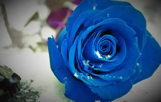 Fiori per composizione floreale per rito funebre
